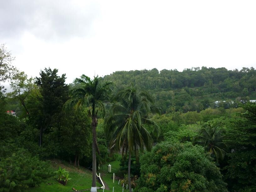 Blogs | Paradise Properties