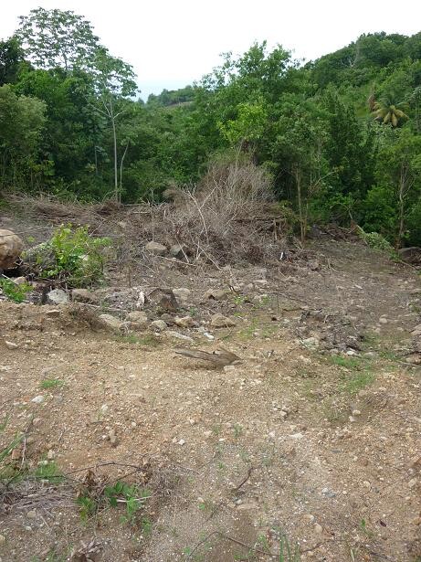 Blogs | Paradise Properties