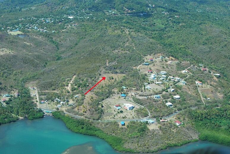 Blogs | Paradise Properties