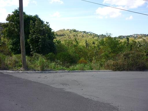 Blogs | Paradise Properties