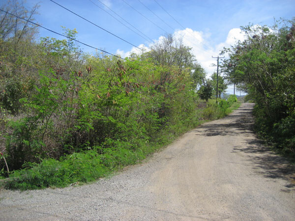 Blogs | Paradise Properties