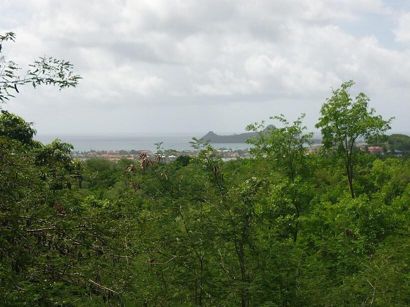 Blogs | Paradise Properties