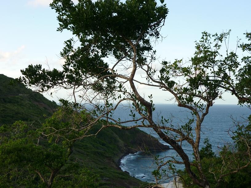 Blogs | Paradise Properties