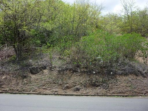 Blogs | Paradise Properties