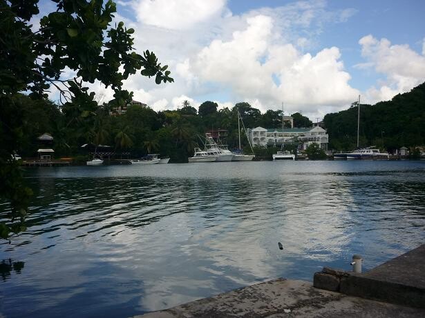 Blogs | Paradise Properties