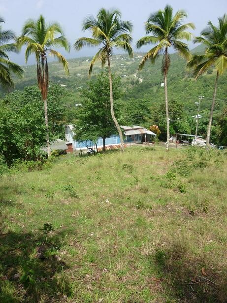 Blogs | Paradise Properties