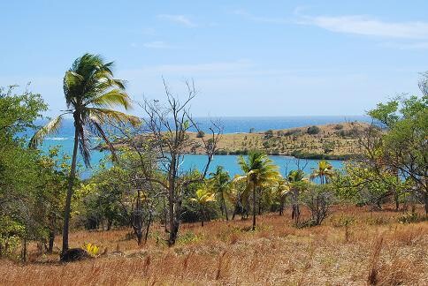 Blogs | Paradise Properties
