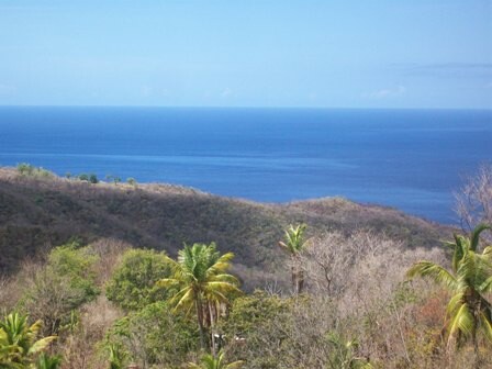 Blogs | Paradise Properties