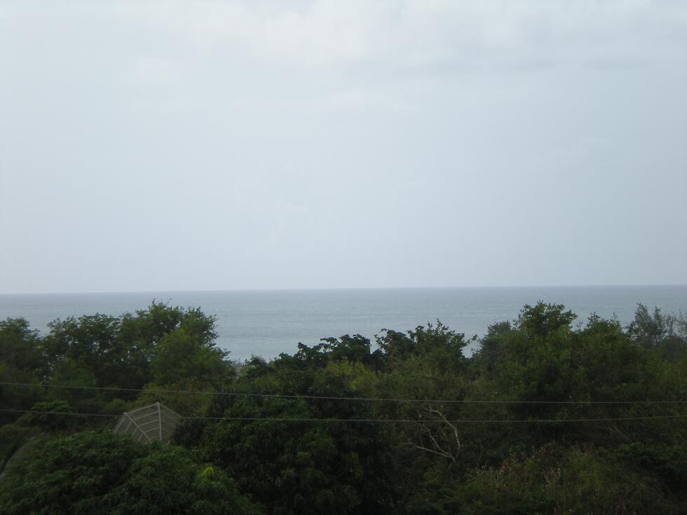 Blogs | Paradise Properties