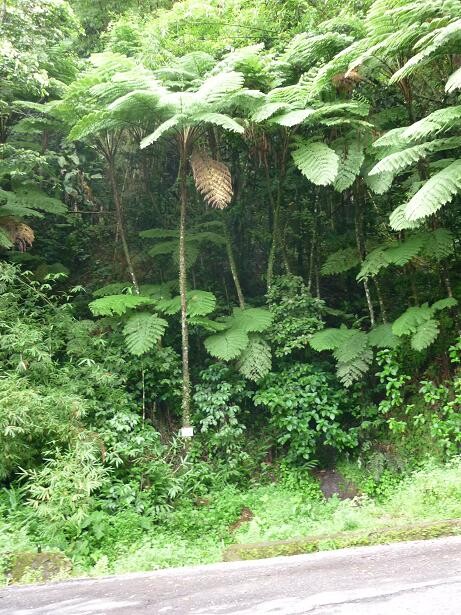 Blogs | Paradise Properties