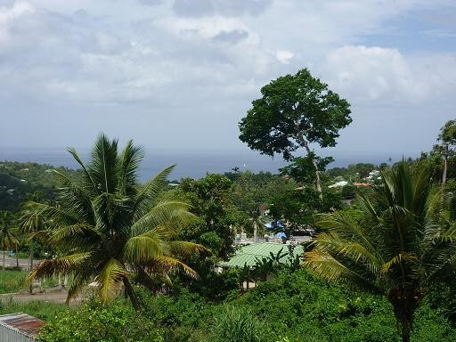 Blogs | Paradise Properties