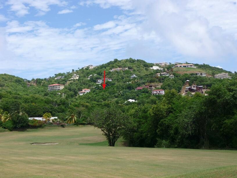 Blogs | Paradise Properties