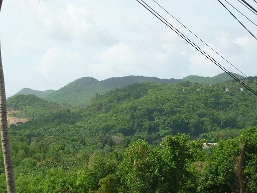 Blogs | Paradise Properties